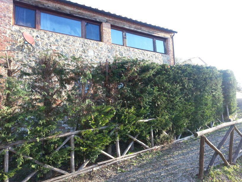 Residenza Il Platano Fortilizio Di Campiglia Rapolano Terme Luaran gambar